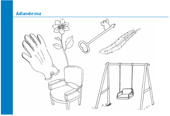 NIHS Skoru Test Kartları4