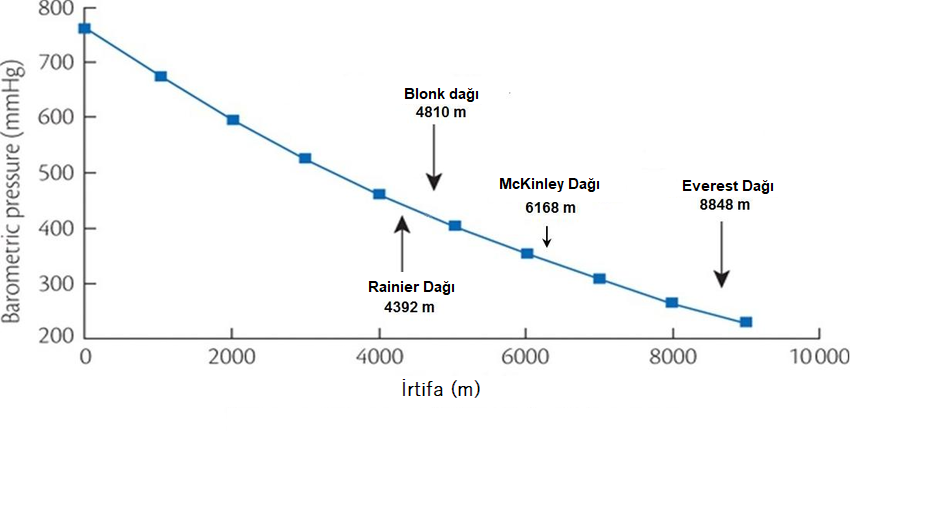 Yükseklik - Basınç Skalası