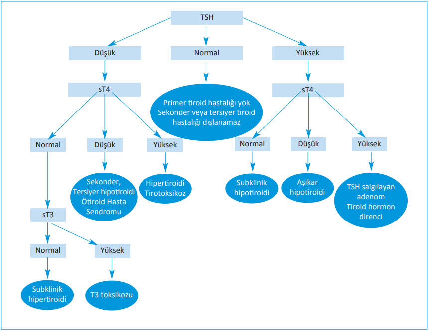 Triodi - TSH Algoritması